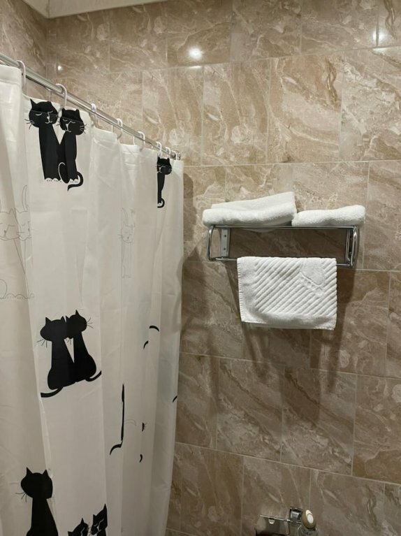 Отель Александрия-Шереметьево Химки-43