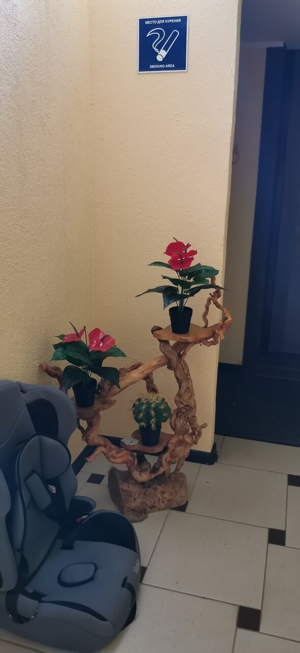 Отель Александрия-Шереметьево Химки